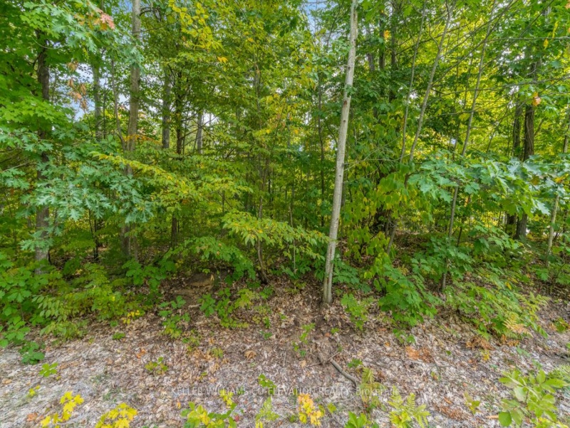 Lot 624 Forest Circ, Tiny, Ontario L9M 1R3,S7036498